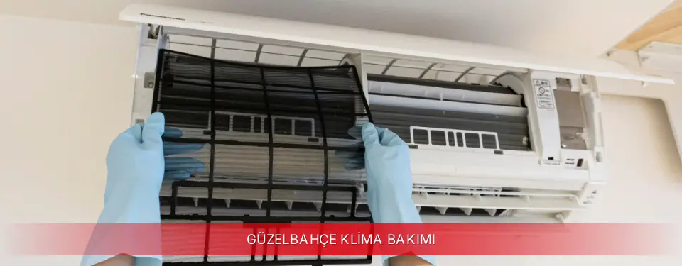 Güzelbahçe İlçemi Viessmann Klima Bakımı