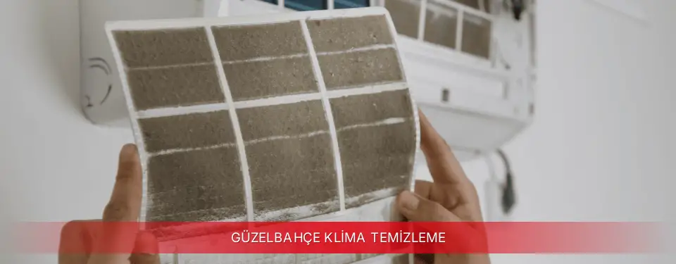 Güzelbahçe İlçemi Viessmann Klima Temizleme
